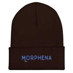 Cuffed Beanie - TypeB