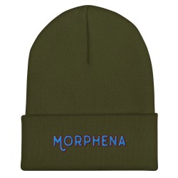 Cuffed Beanie - TypeB